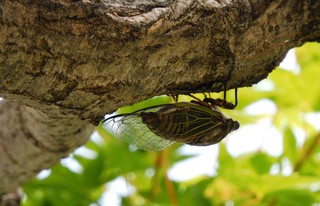 DSCN2602 (2).JPG