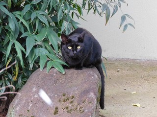 DSCN5687 (3).JPG