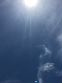image.jpeg