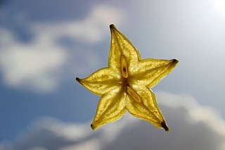image.jpeg