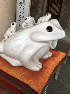 image.jpeg
