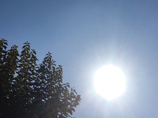 image.jpeg