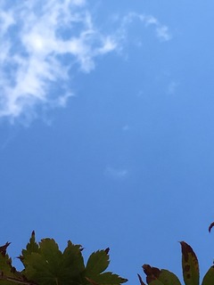 image.jpeg