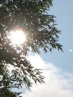 image.jpeg