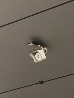 image.jpeg