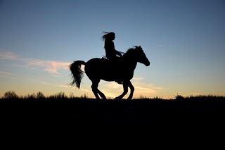 image.jpeg
