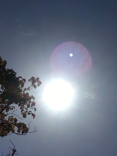 image.jpeg