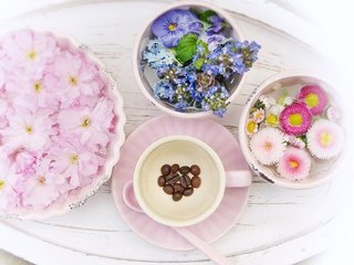 tray-3921717_640.jpg