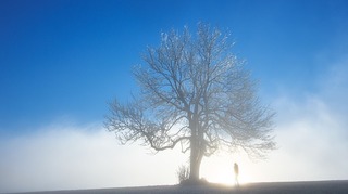 winter-g70807a5c4_640.jpg